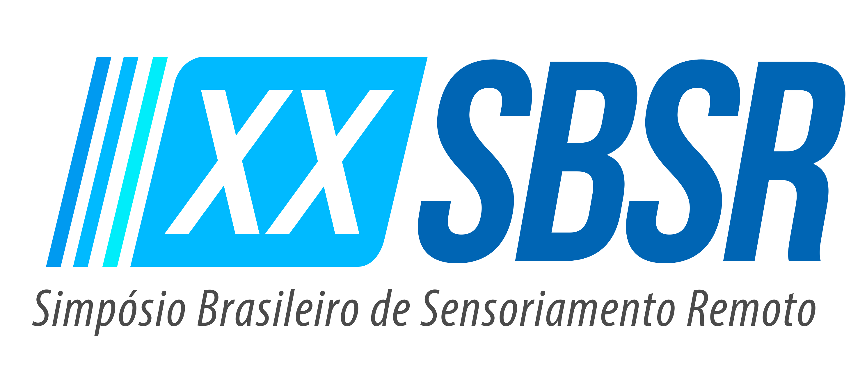Logo XX SBSR